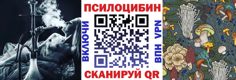 мега ссылка  Семилуки  Псилоцибиновые грибы MAGIC MUSHROOMS 